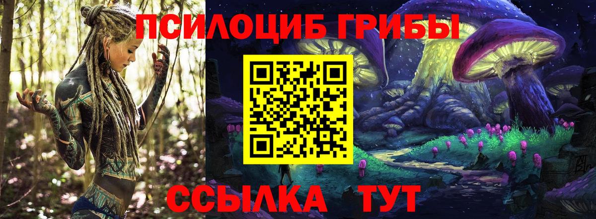 купить  сайты  Галлюциногенные грибы Cubensis  Вход с VPN  Советский 